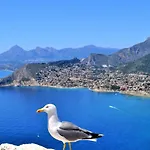 Mirador * קלפה